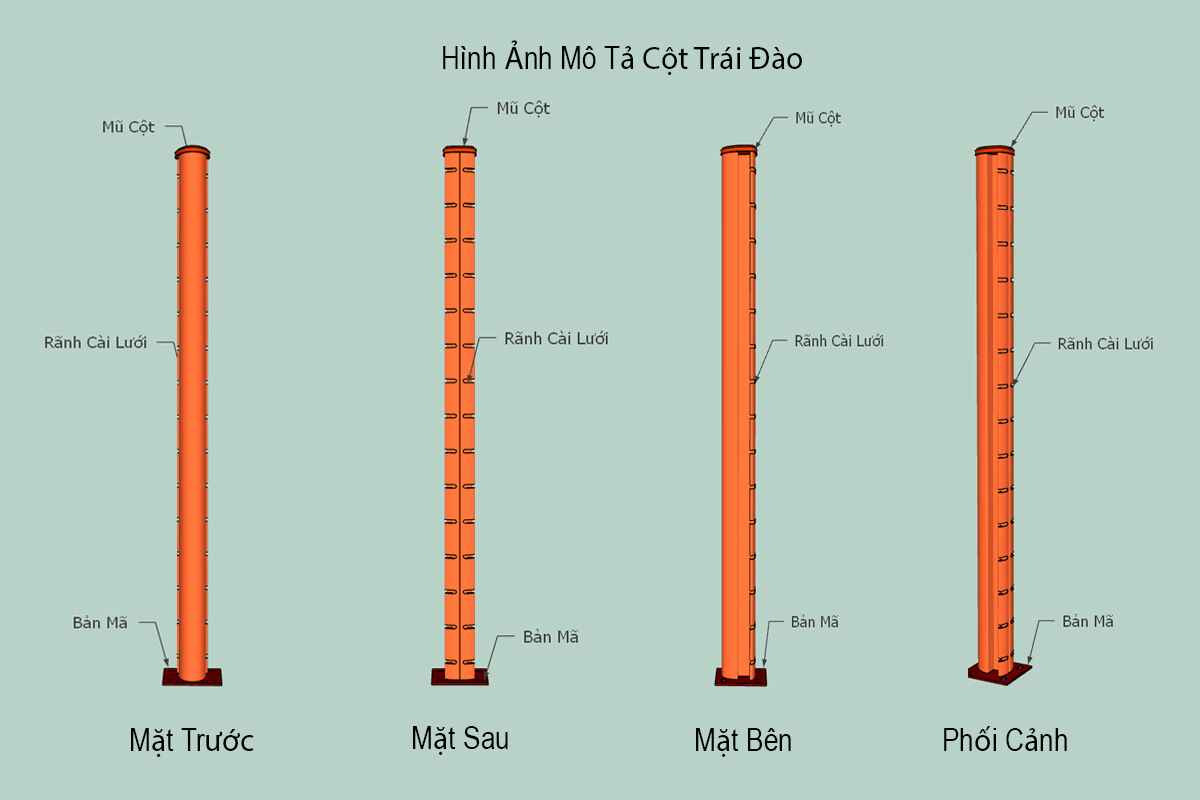 Cấu tạo trụ quả đào