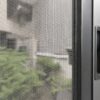 Lưới inox chống côn trùng