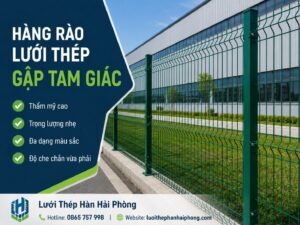 Hàng rào lưới thép Bắc Ninh11_08_03 11 thg 7, 2026 (1)