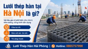 Lưới thép hàn tại Hà Nội08_57_48 10 thg 7, 2026 (1)